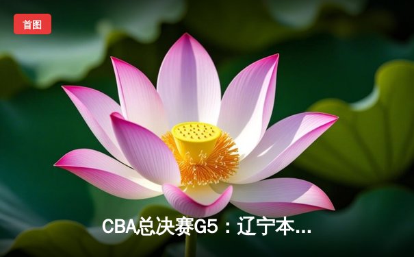 CBA总决赛G5：辽宁本钢加时险胜广东宏远 成功卫冕总冠军